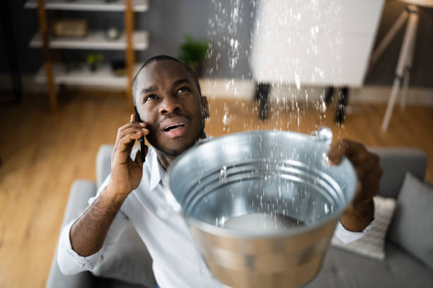 Best Local water damage restoration  in Crete, IL