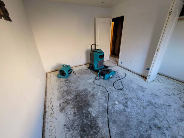 Best Water damage restoration services  in Crete, IL