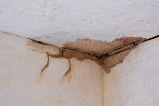 Best Residential water damage restoration  in Crete, IL
