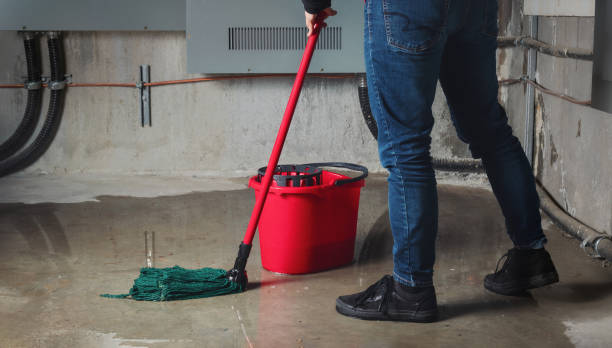 Water damage restoration insurance claims in Crete, IL