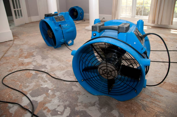  Crete, IL Water damage restoration Pros