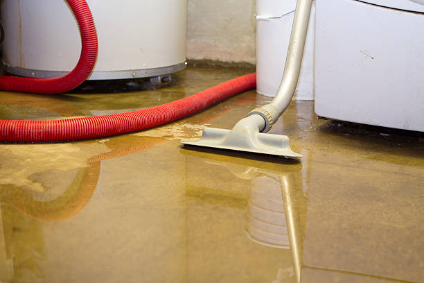 Water damage restoration mold remediation in Crete, IL