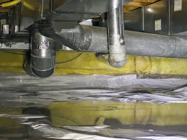 Best Water damage cleanup near me  in Crete, IL