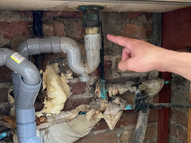 Best Flooded house restoration  in Crete, IL