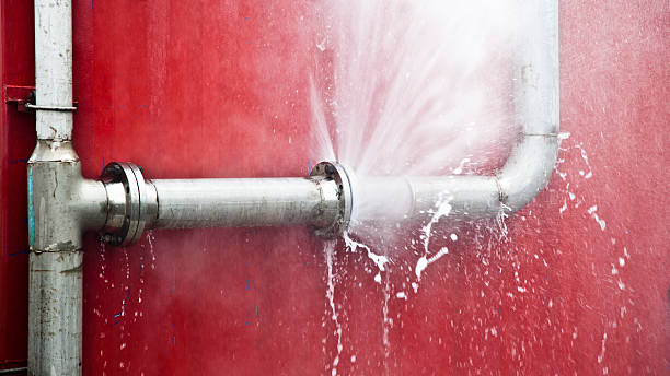 Best Flood restoration services  in Crete, IL