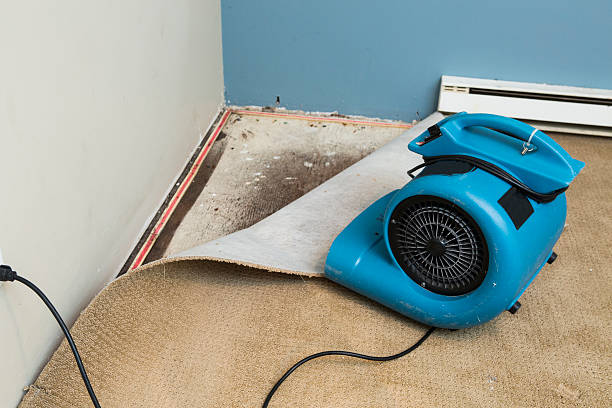 Best Flooded house restoration  in Crete, IL