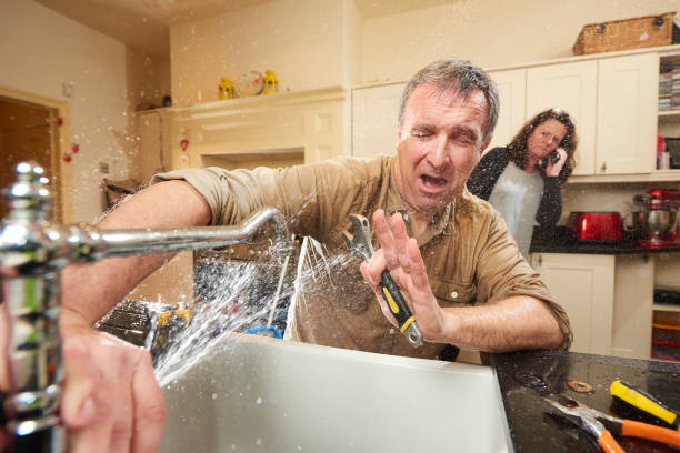 Best Water damage restoration experts  in Crete, IL